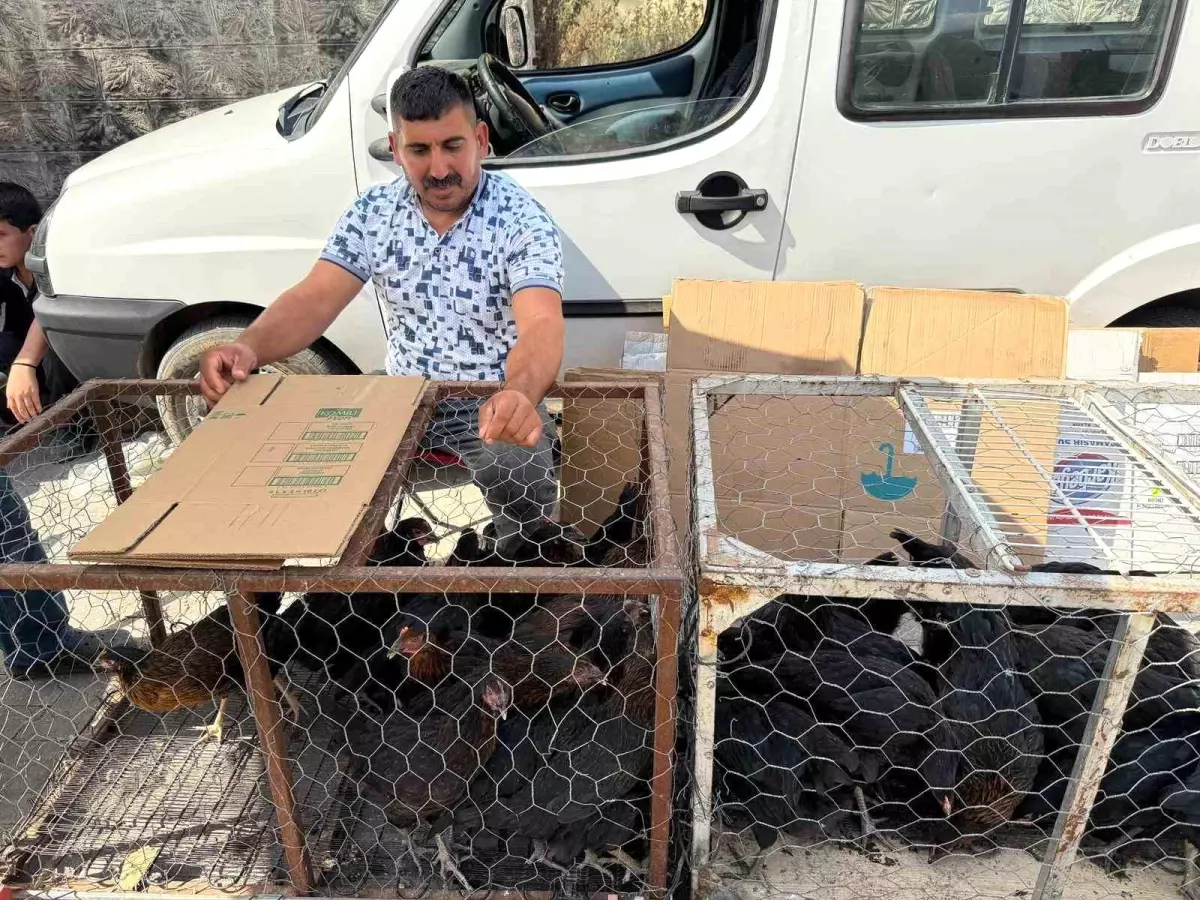 Tilki İle İşçi Arasındaki Eğlenceli Diyalog