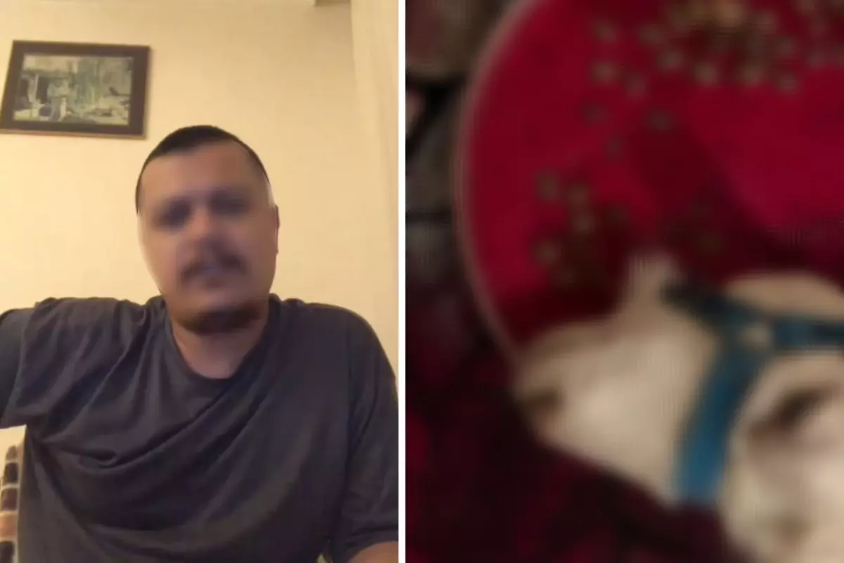 Şaman ayini için evinde keçi ve horoz kesti