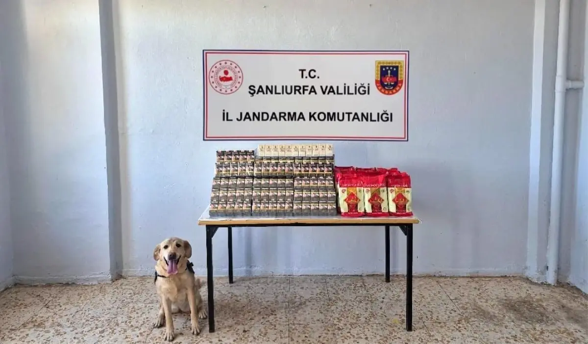 Şanlıurfa'da Jandarma Operasyonları: Gümrük Kaçağı Malzemeler Ele Geçirildi