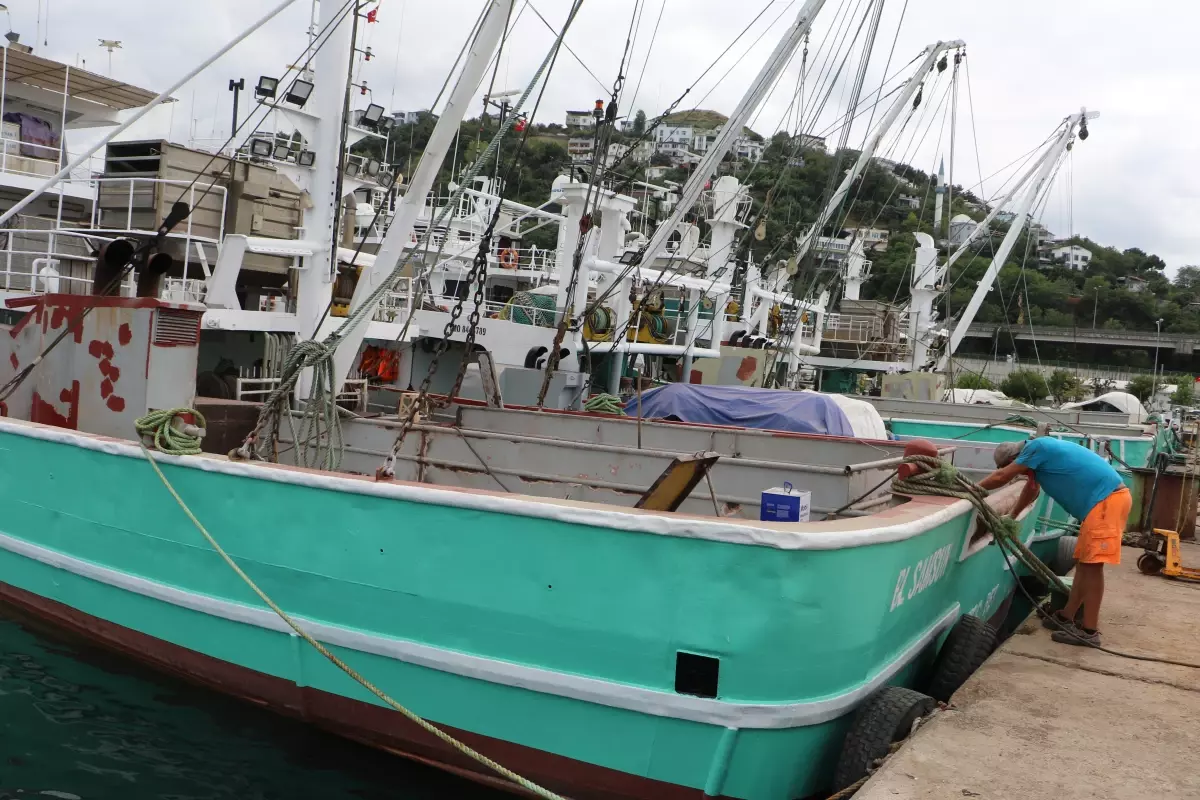 Samsun'da Balık Avı Sezonu Heyecanı: 'Bolca Hamsi Bekliyoruz'