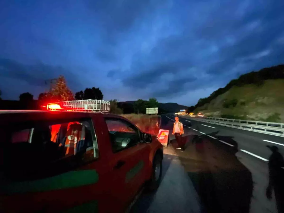 Bilecik'te Orman Varlığı İçin Denetimler Sürüyor