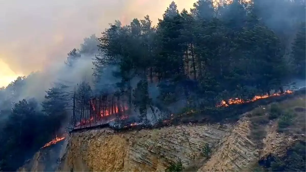 Bolu'da Orman Yangını: Hızla Büyüyor
