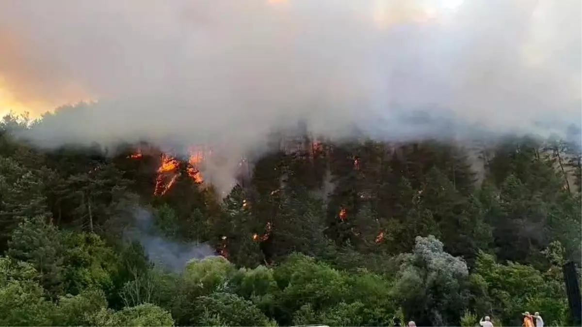 Bolu Mengen'de Orman Yangını: Söndürme Çalışmaları Devam Ediyor