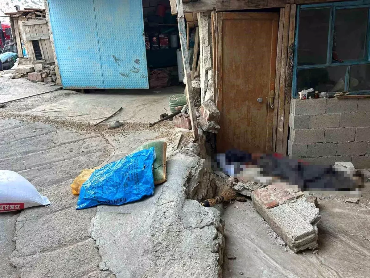 Traktör Faciasında 73 Yaşındaki Kadın Hayatını Kaybetti