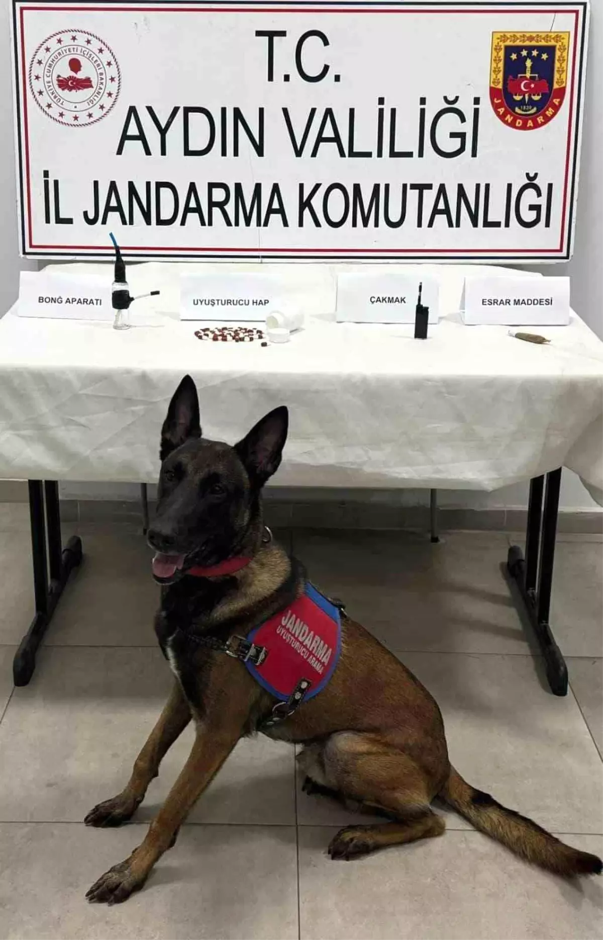 İzmir-Aydın Otoyolu'nda Uyuşturucu Operasyonu: İki Kişi Gözaltında