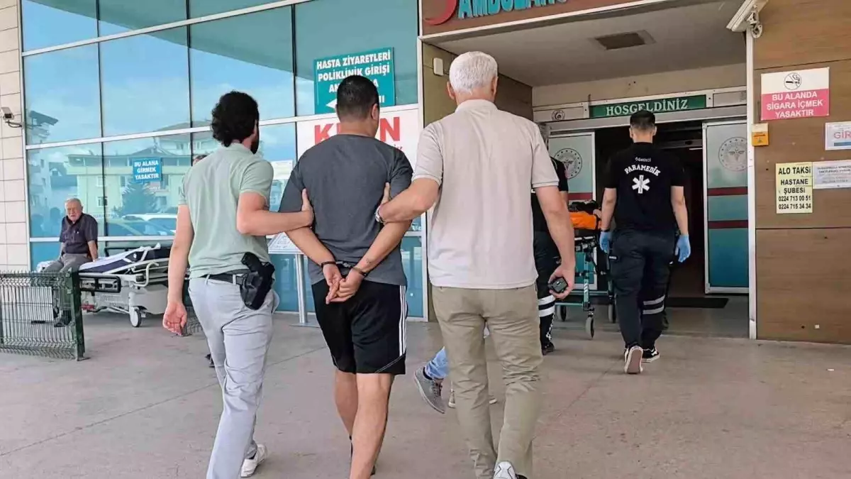 Bursa'da Ayin İçin Hayvanları Katleden Kişi Tutuklandı