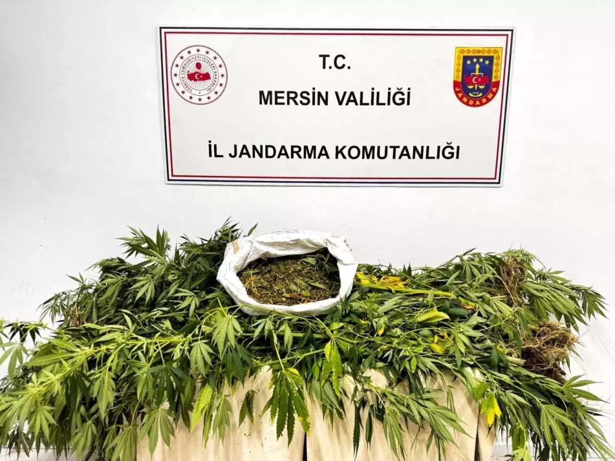 Mersin'de Uyuşturucu Ticaretine Yönelik Operasyon: 1 Şüpheli Tutuklandı