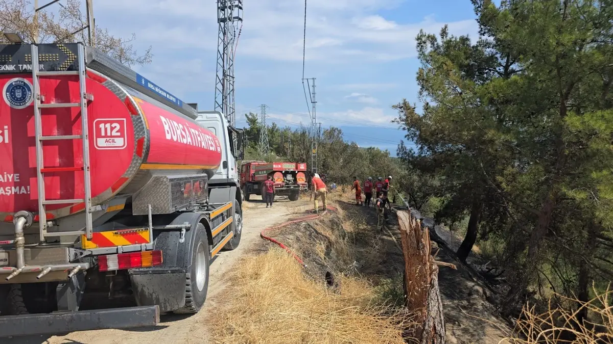 Mudanya'da Orman Yangını Kontrol Altına Alındı