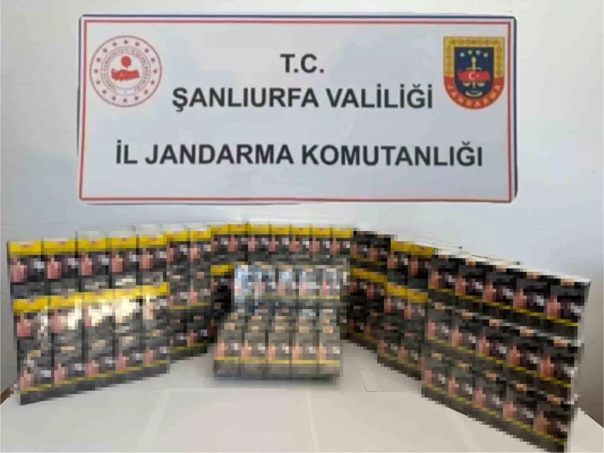Şanlıurfa'da Jandarmadan Kaçak Sigara Operasyonu: 2 Bin 130 Paket Ele Geçirildi