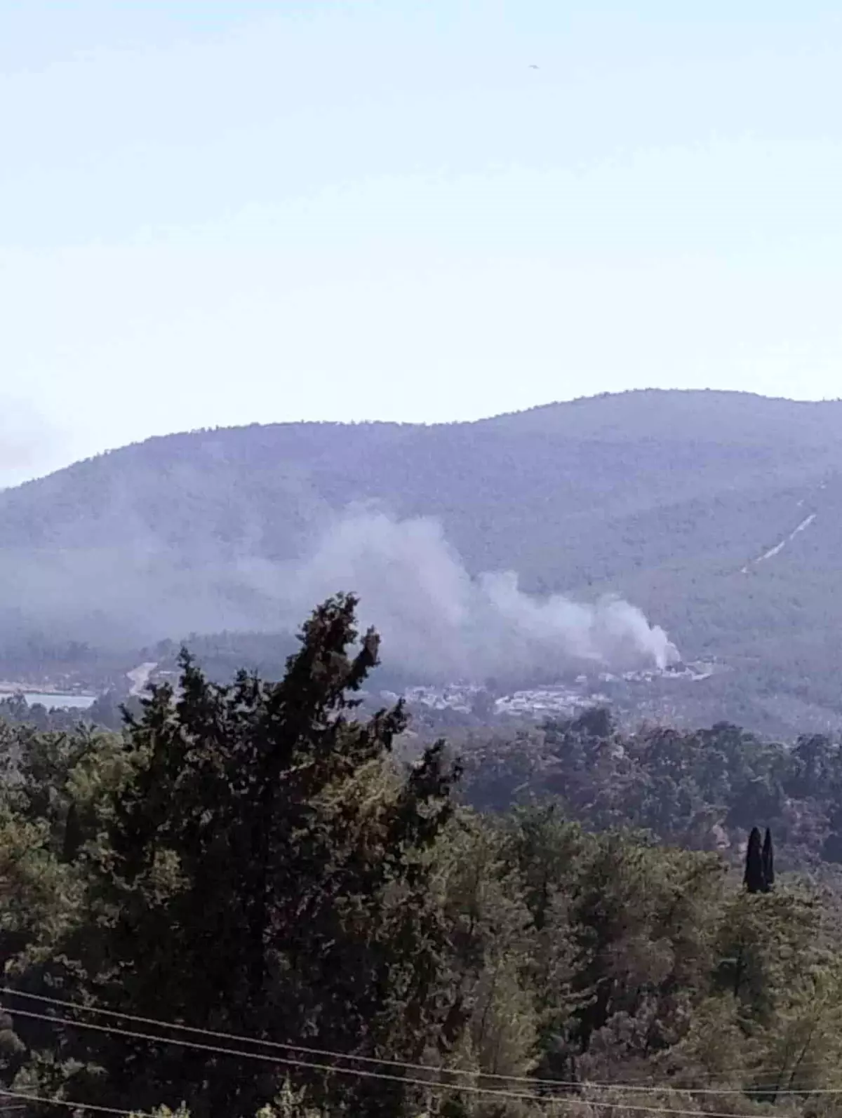Milas'ta Ormanlık Alanda Yangın Çıktı, Kontrol Altına Alındı
