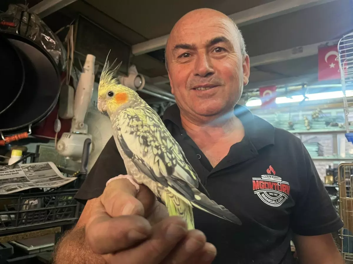 Kütahya'da Dede Mesleği ve Kuş Sevgisi: Mustafa Göktürk'ün Hikayesi