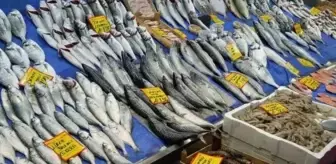 Balık sezonu ne zaman açılıyor? 2025 balık av yasağı ne zaman bitiyor?