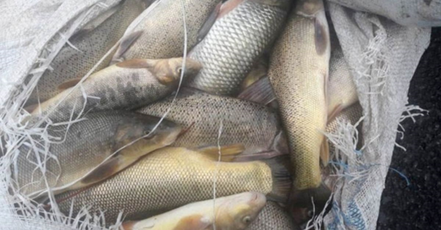 Balık sezonu ne zaman açılıyor? 2025 balık av yasağı ne zaman bitiyor?