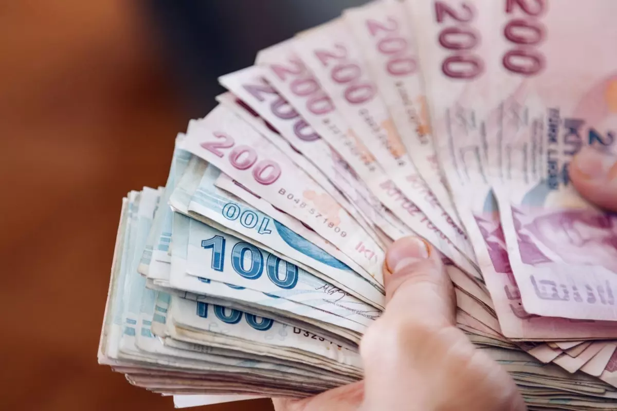 Bankalarda unutulan yaklaşık 732,1 milyon lira TMSF'ye aktarıldı