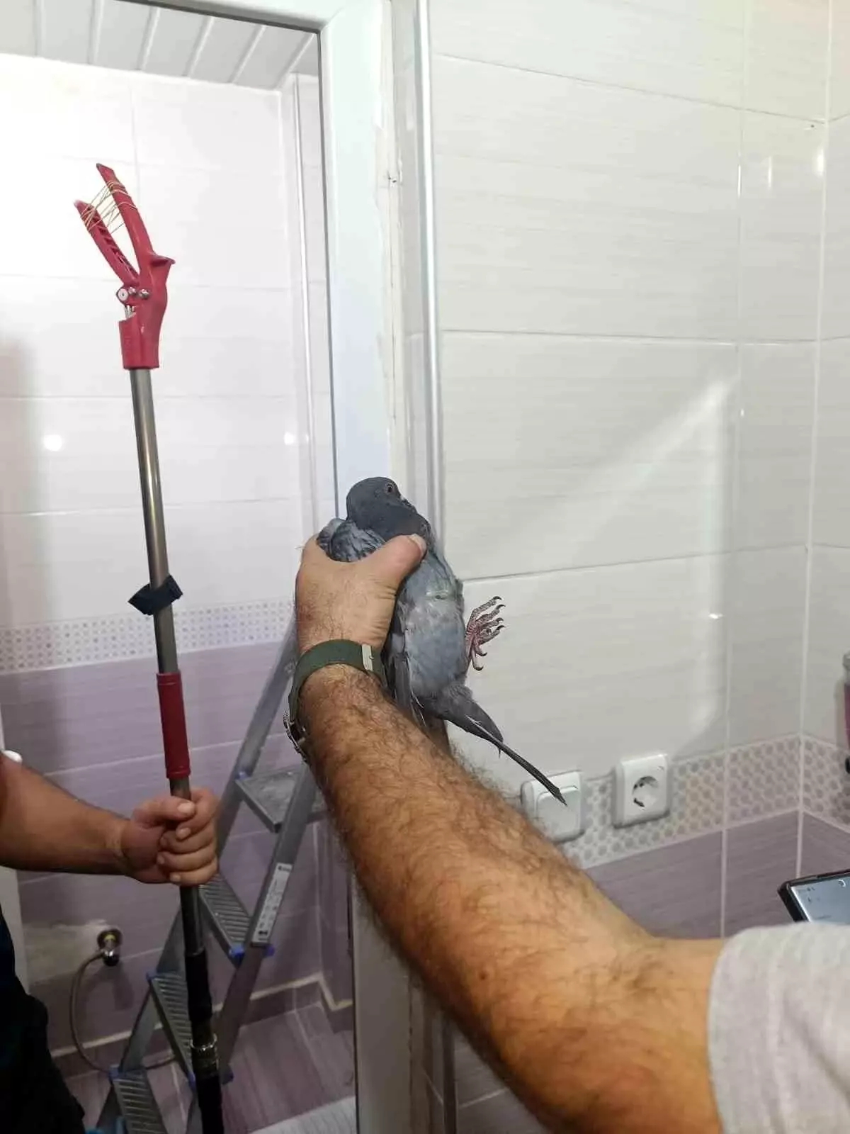 Batman'da Sıkışan Güvercin İtfaiye Ekipleri Tarafından Kurtarıldı