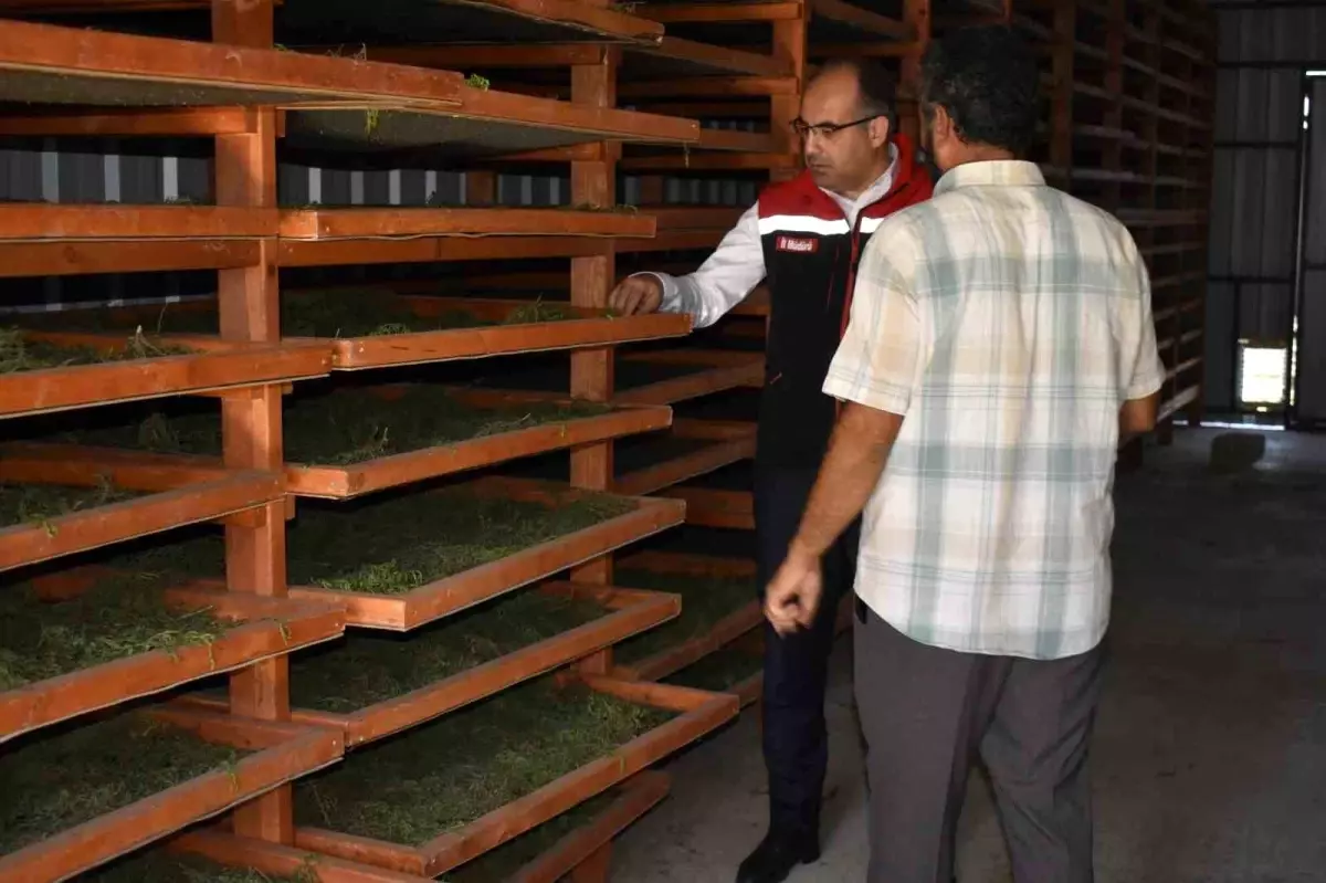 Bayburt'ta Tarhun Kurutma Tesisi Açıldı