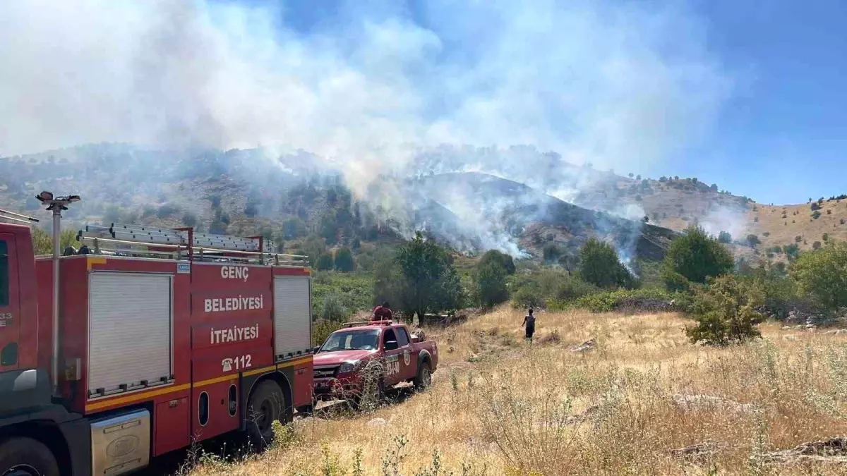 Bingöl'de Köyde Yangın Çıktı, Ormana Sıçradı