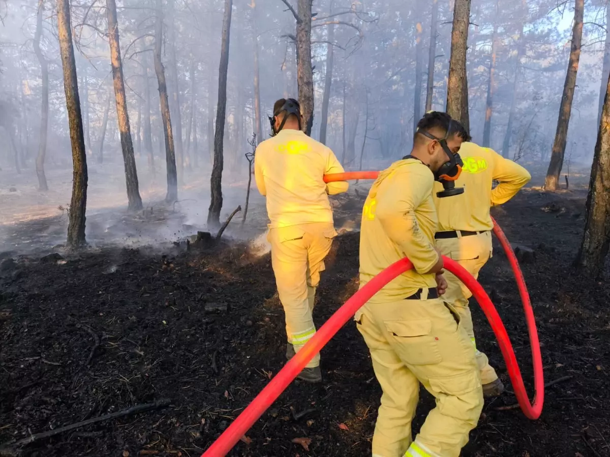Bolu'da Orman Yangını 8,5 Saat Süren Mücadele Sonrası Kontrol Altına Alındı