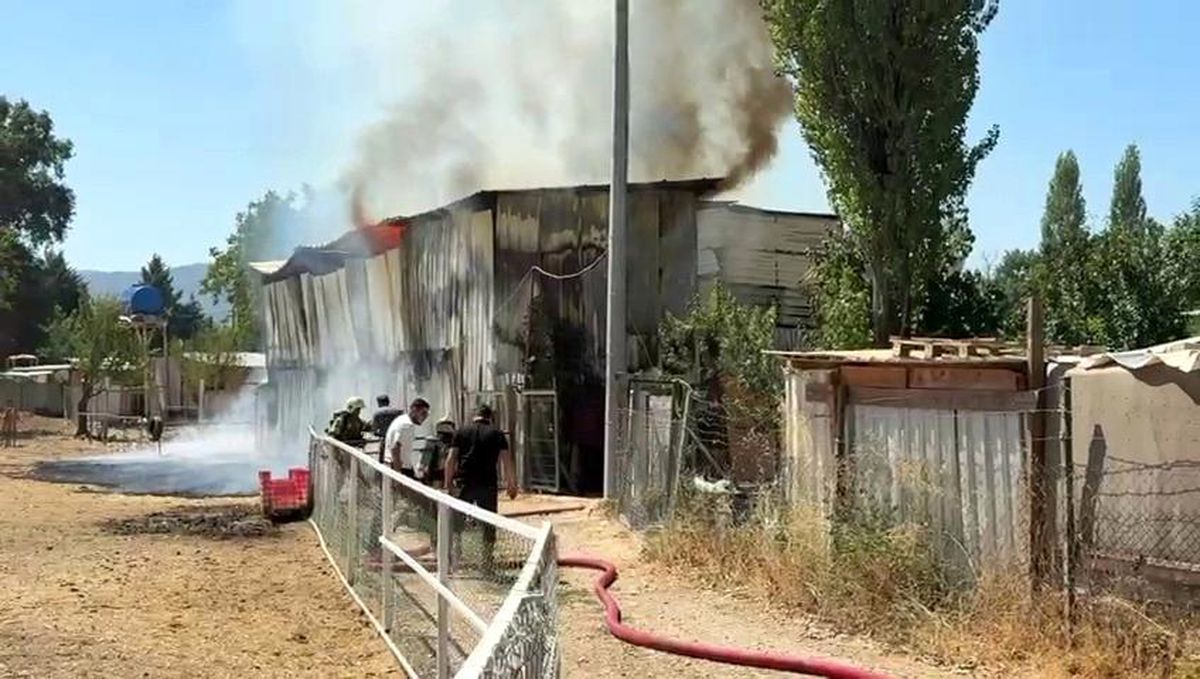 Bursa'da Çiftlikte Yangın: 1 At ve 2 Keçi Telef Oldu