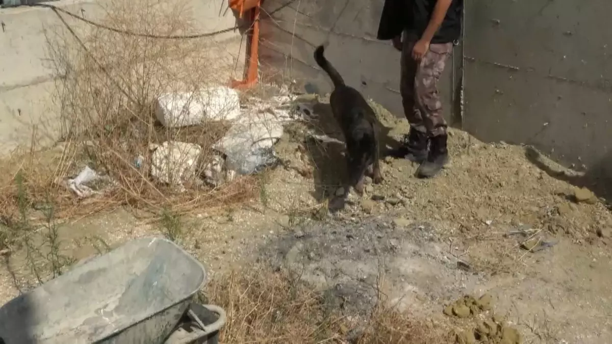 Büyükçekmece'de Gömmüş Oldukları Cesedin Detayları Ortaya Çıktı