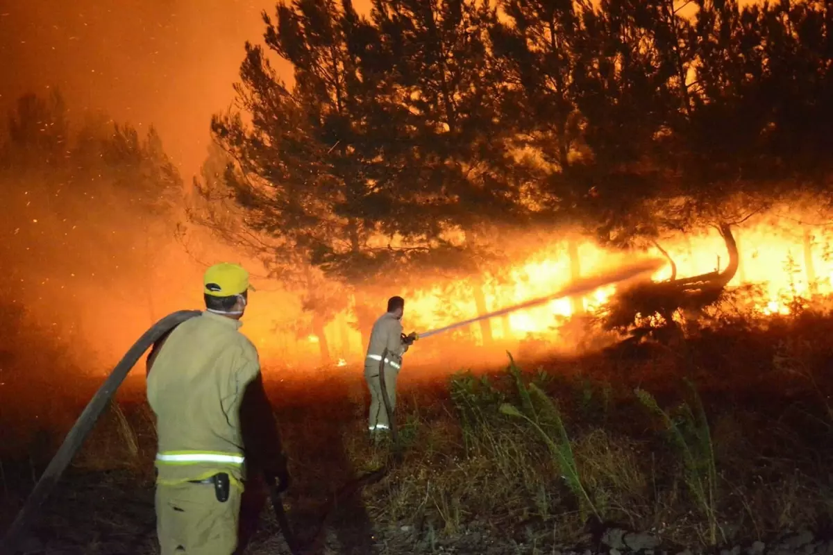 Çanakkale'de Orman Yangınları 5 Bin 236 Hektar Alanı Yaktı