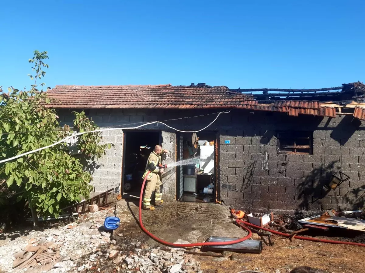 Balıkesir'de Yangın Panic Yaratmadı