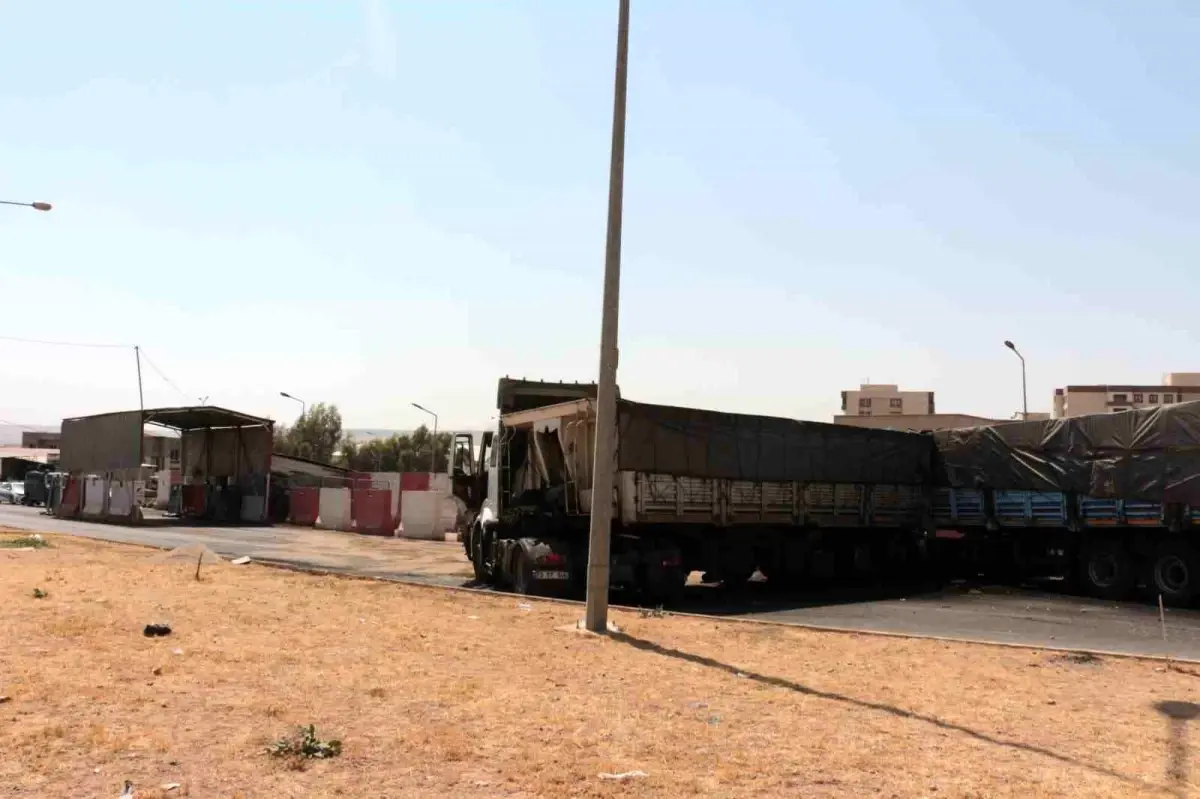 Cizre'de Kardeşlerin Tır Kazası: Bir Ölü, Bir Yaralı