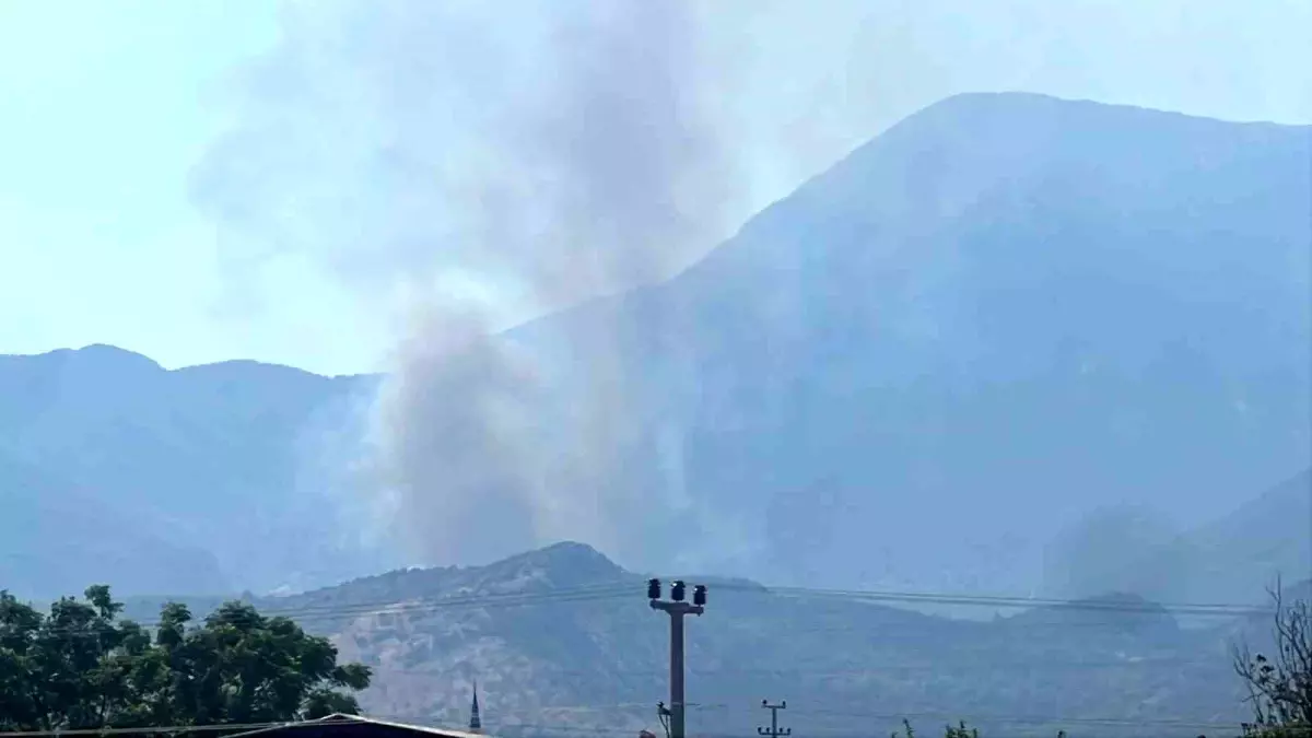 Muğla'da Yangın: Havadan ve Karadan Müdahale Devam Ediyor