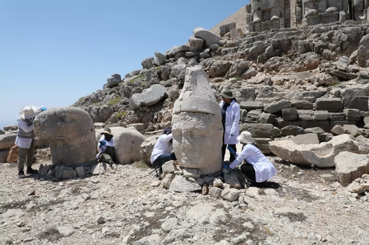 Nemrut Dağı’nda Sağlamlaştırma Çalışmaları Başladı