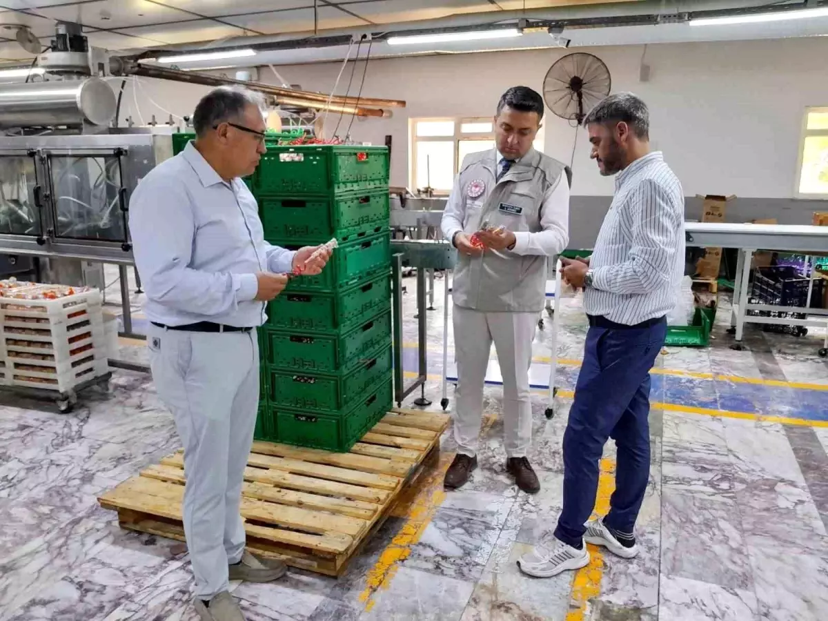 Yalova'da Gıda Karekod Uygulaması Başlatıldı