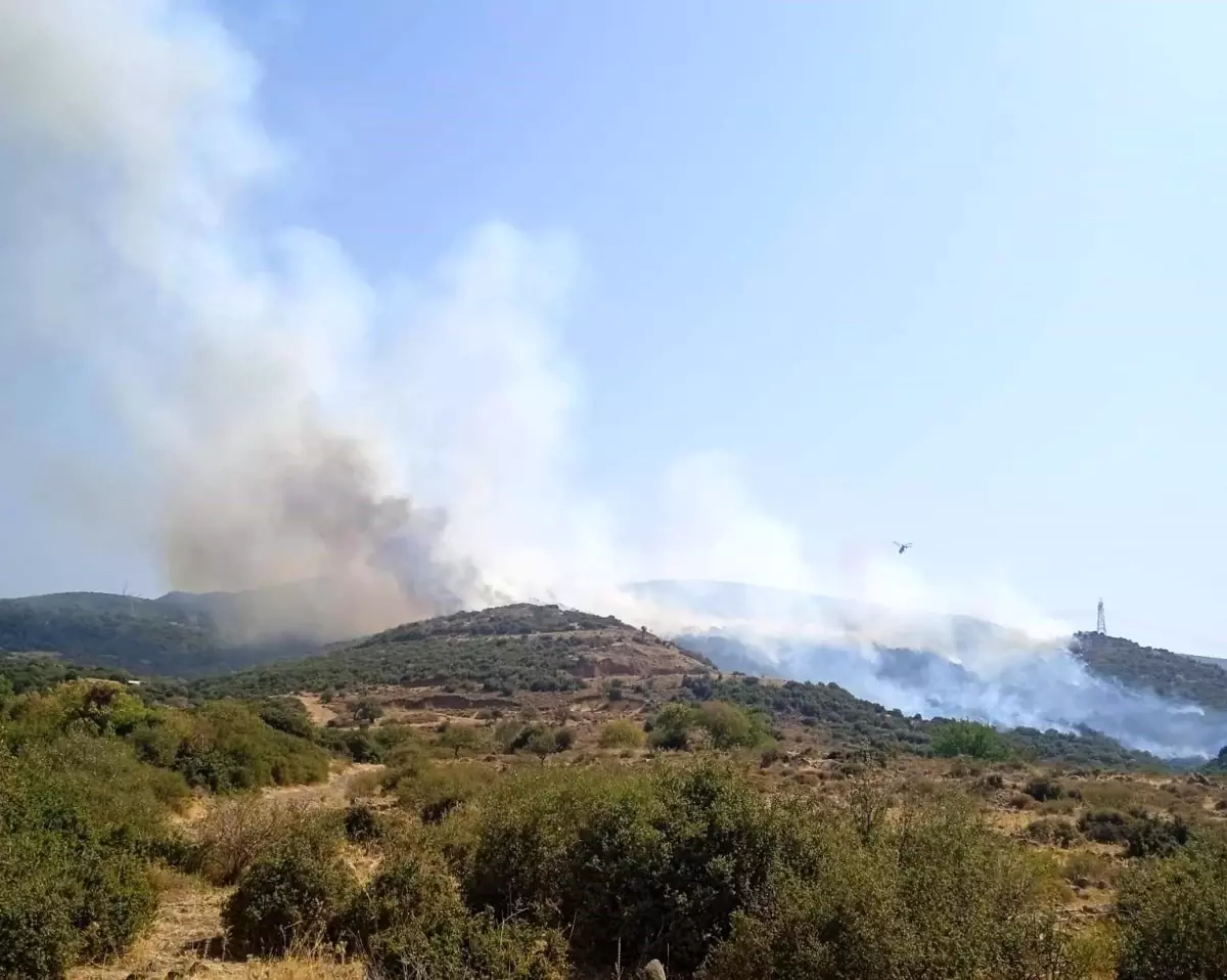 İzmir Aliağa'da Yangın: Ekipler Kontrol Altına Almaya Çalışıyor