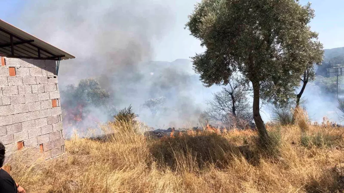 Bodrum'daki Yangın Kontrol Altına Alındı