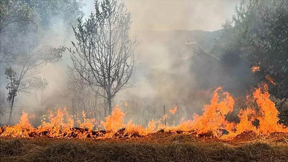 Bolu'da Orman Yangınlarını Önlemek İçin Akaryakıt Alım-Satımında Yeni Yasaklar