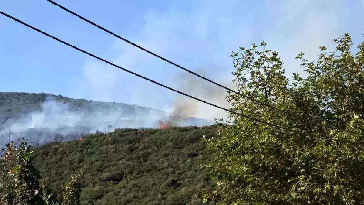 Bursa'da Orman Yangını Kontrol Altına Alındı