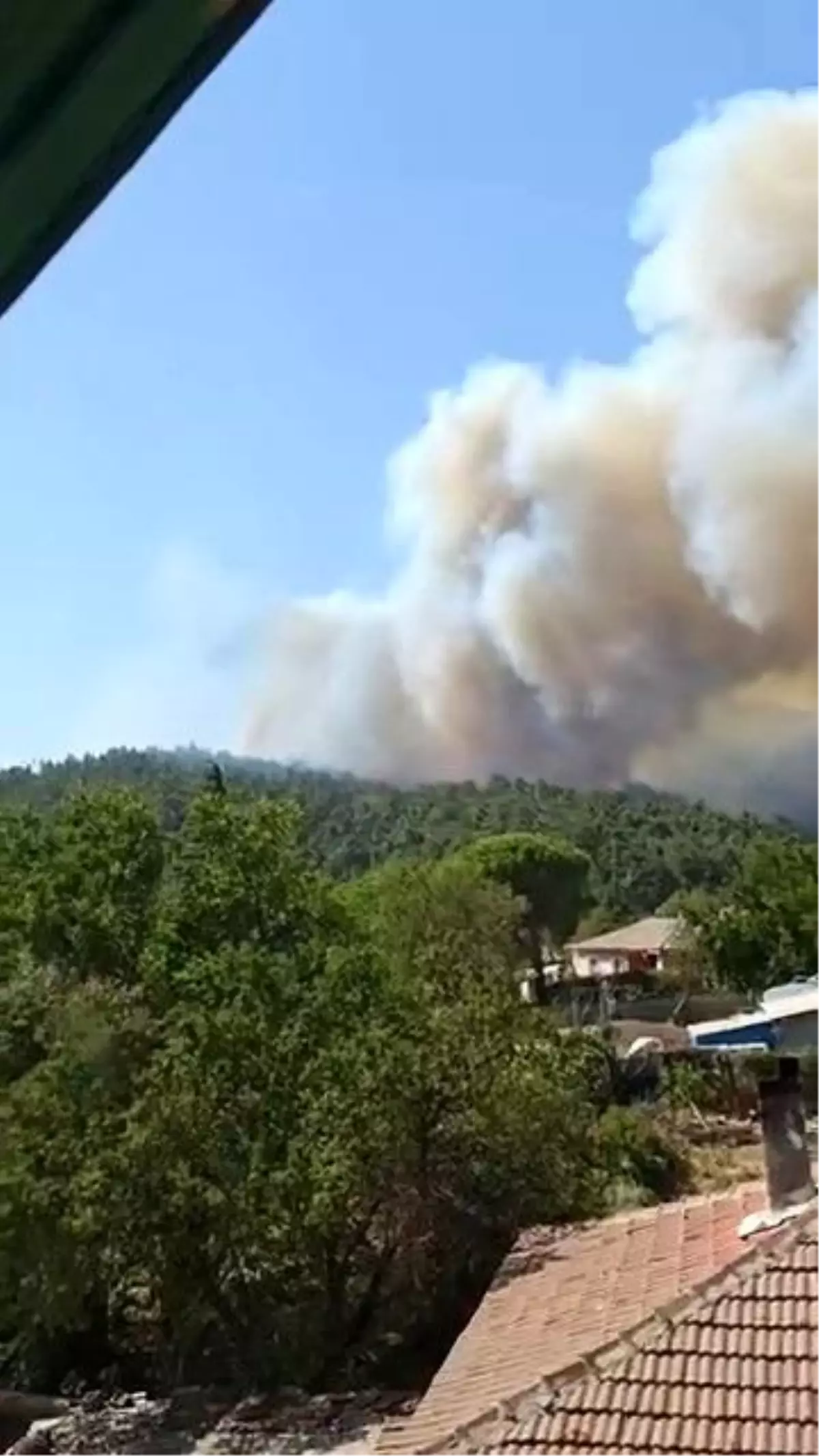 Çanakkale Gelibolu'da Orman Yangını Başladı