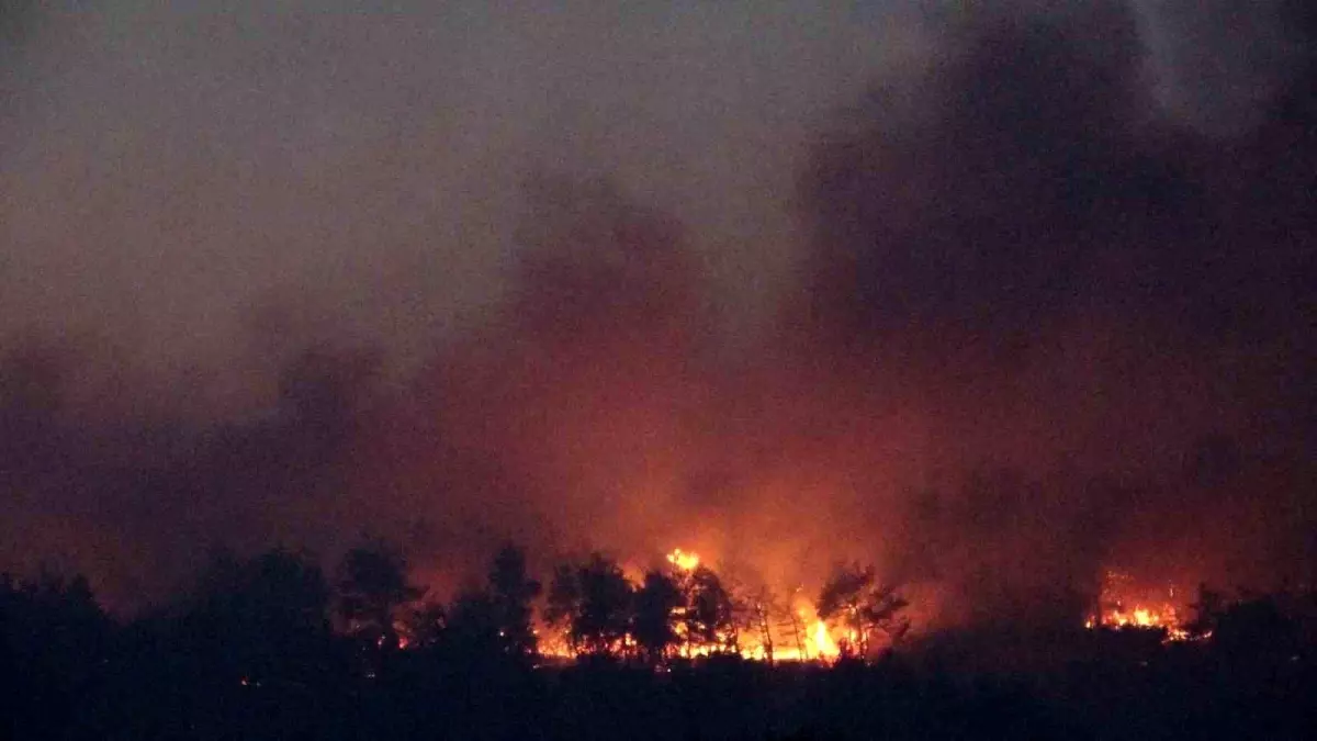 Çanakkale Gelibolu'da Orman Yangınına Müdahale Devam Ediyor
