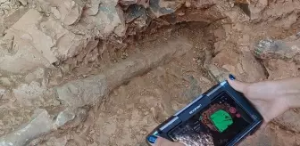 Denizli'deki kazılarda kazmayı vurdukça fosil fışkırdı, 9 milyon yıllık 27 tür bulundu