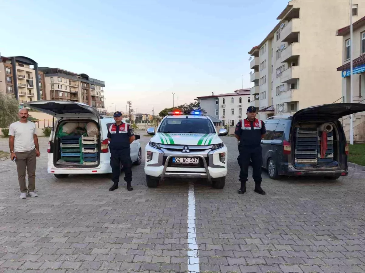Ağrı'da Kaçak Avlanan 240 Kilogram Kurbağa Ele Geçirildi