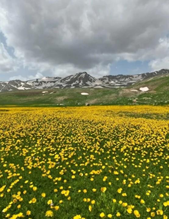 hakkari de bir anadolu senligi coskuyla basladi 18972891 7647 m