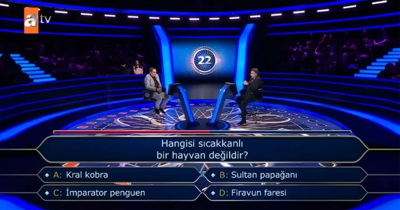 Hangisi sıcakkanlı bir hayvan değildir?