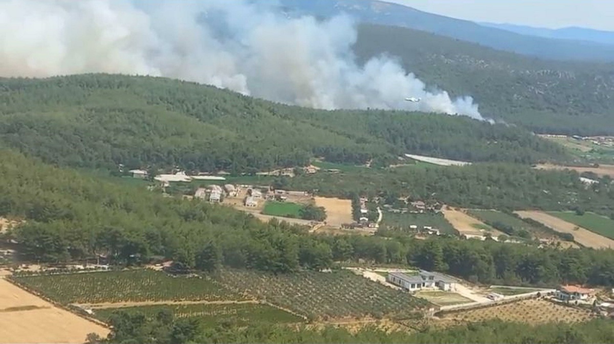 İzmir'deki Orman Yangınına Havadan ve Karadan Müdahele