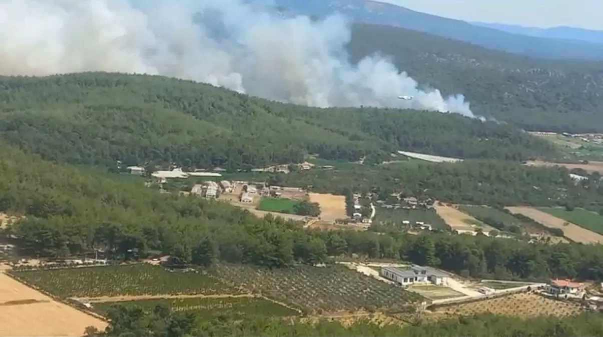 İzmir'deki Orman Yangınına Havadan ve Karadan Müdahele