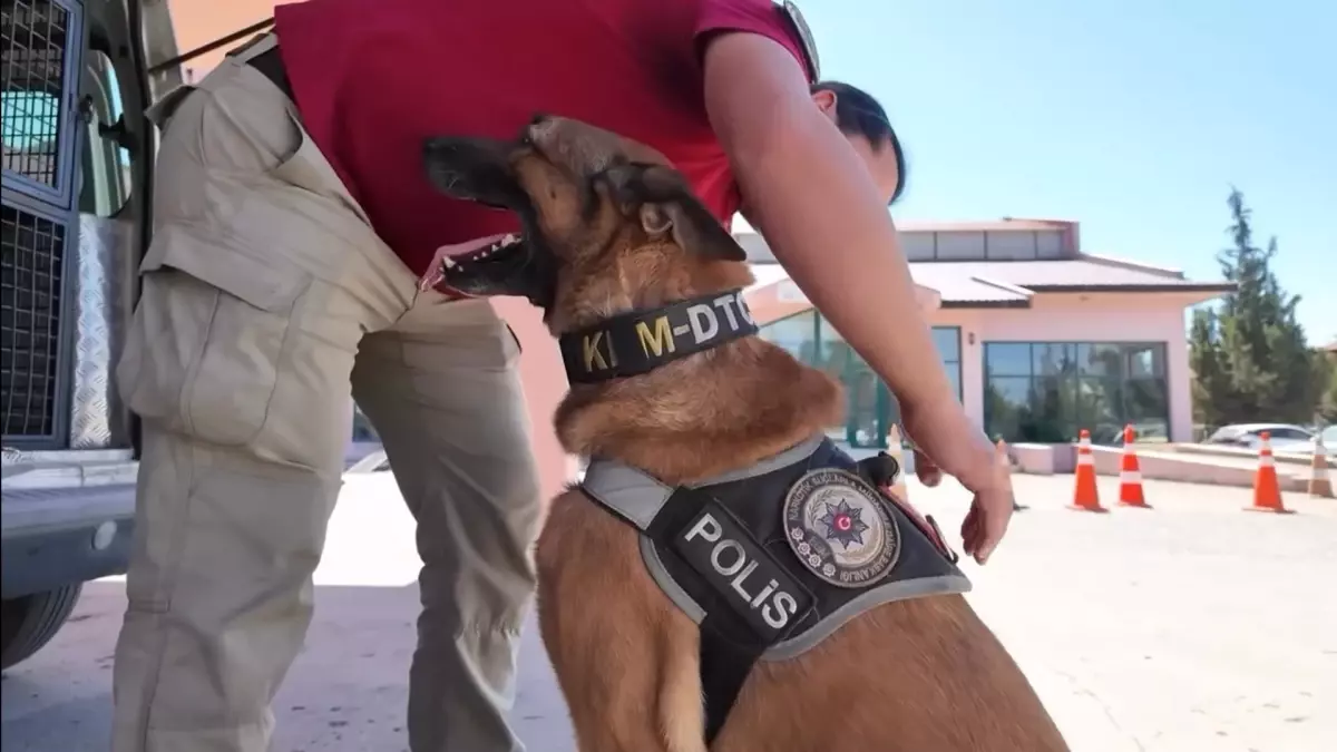 Uyuşturucu ile Mücadelede Başarılarıyla Tanınan Narkotik Köpeği Pars Emekliye Ayrıldı