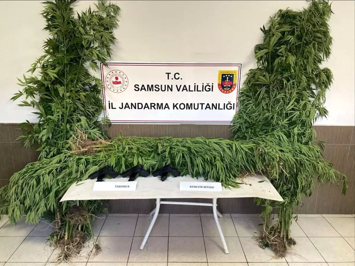 Samsun'da Silah ve Uyuşturucu Operasyonu: 4 Gözaltı