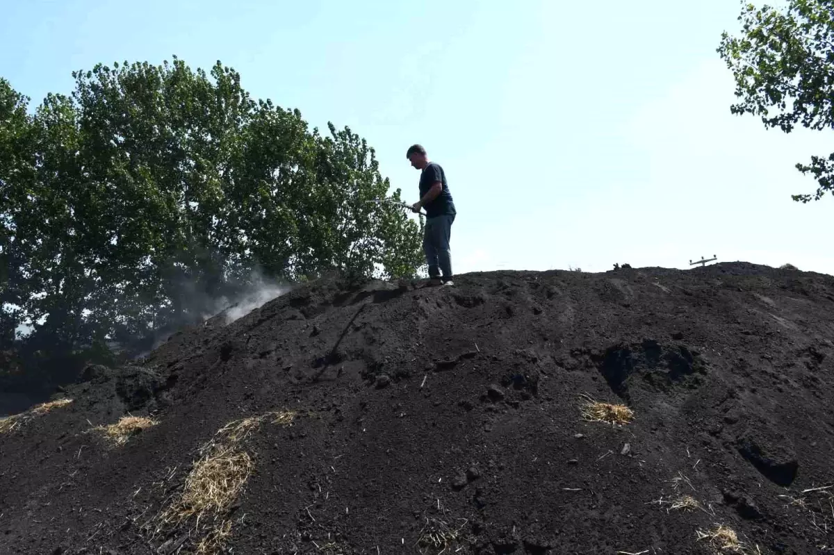 Mersin'de Sıcak Havalara Rağmen Mangal Kömürü Üretimi Devam Ediyor