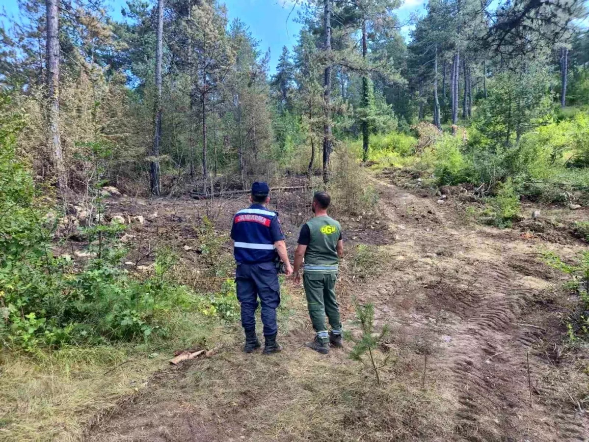 Sinop'ta Orman Yangınlarına Karşı Denetimler Sürüyor