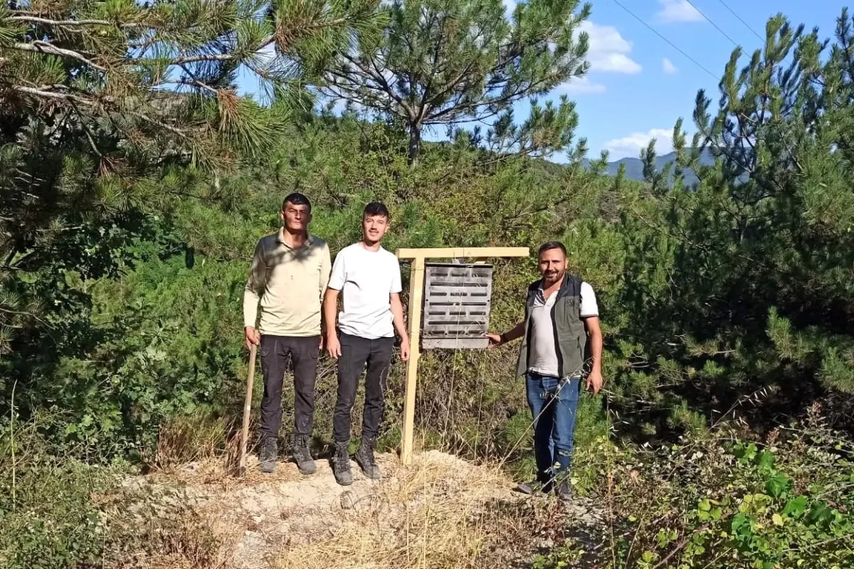 Göynük'te Kabuk Böceği Zararlısına Karşı Biyolojik Mücadele Başlatıldı