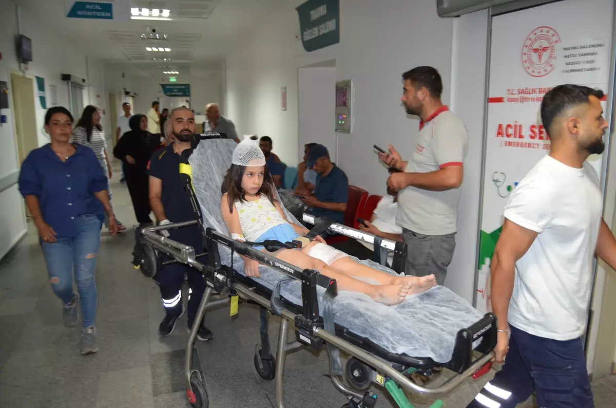 Aksaray'da Düğüne Giden Çocuk Köpek Saldırısına Uğradı