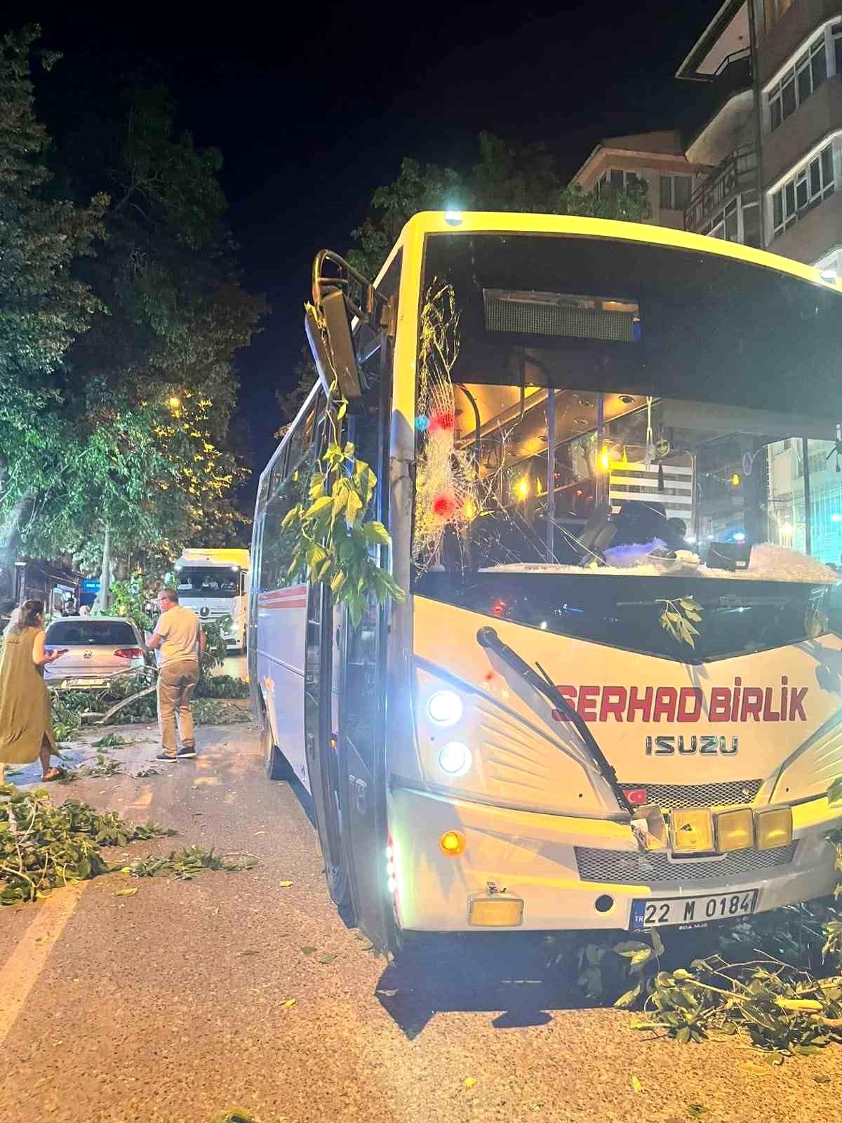 Edirne'de Devrilen Ağaç Toplu Taşıma Araçına Zarar Verdi