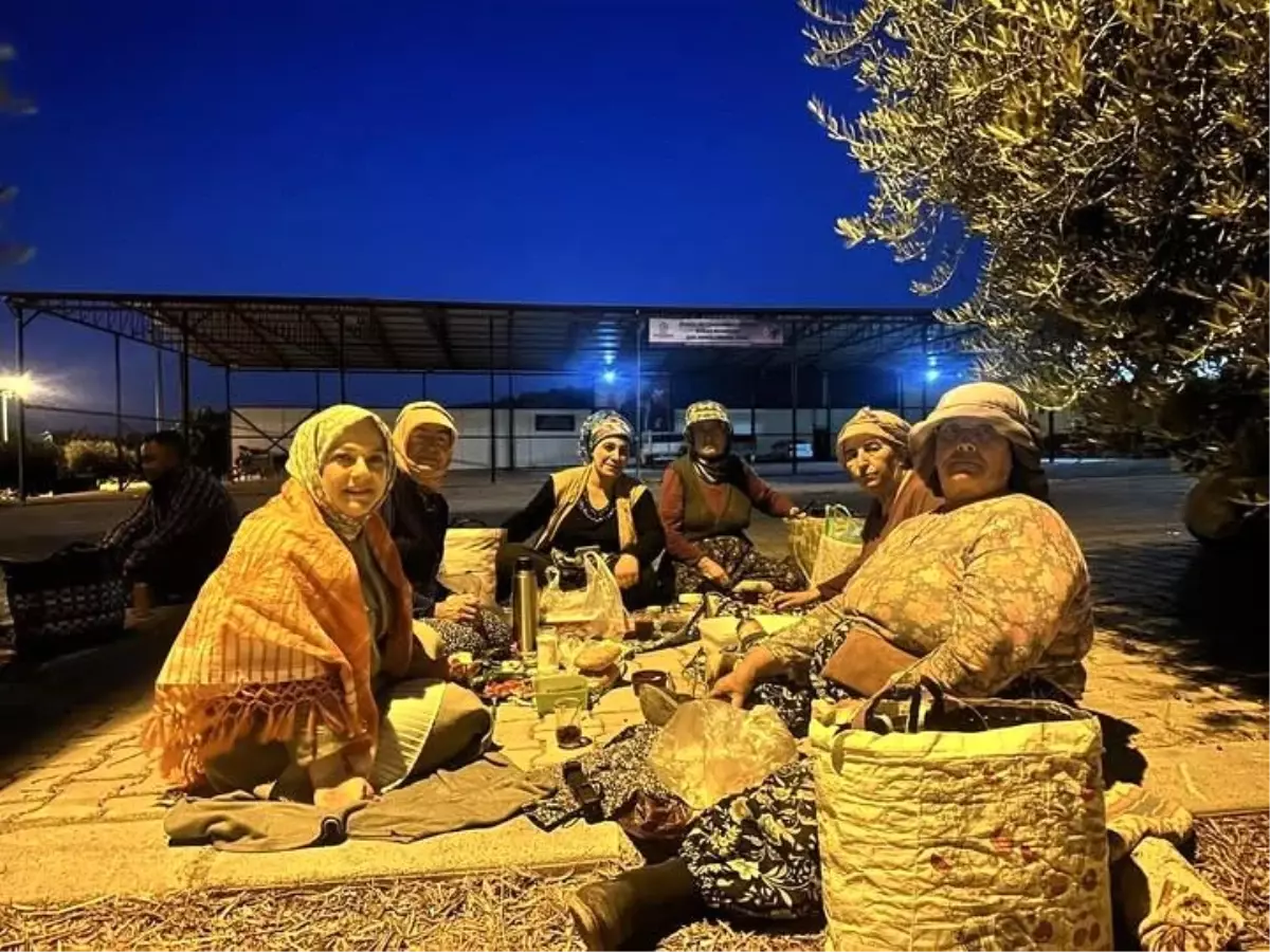 Sema Silkin Ün, Üzüm Üreticilerinin Sorunlarına Dikkat Çekti